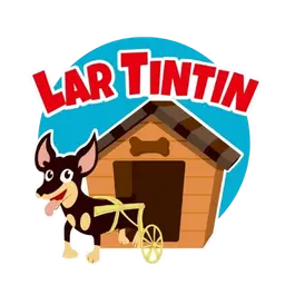 Lar Tin Tin — abrigo de cães em Fortaleza