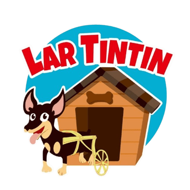 Lar Tin Tin — abrigo de cães em Fortaleza