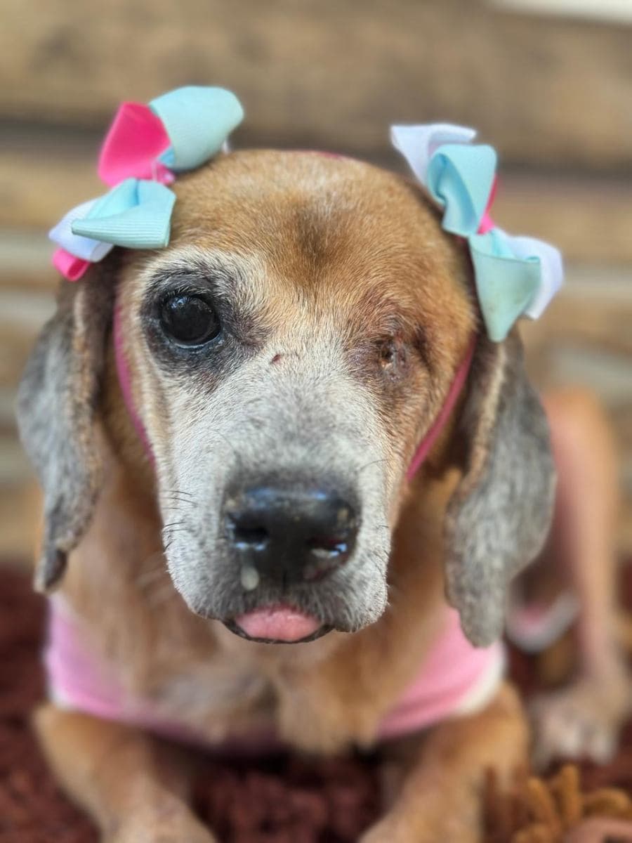 Foto de Dona Véia