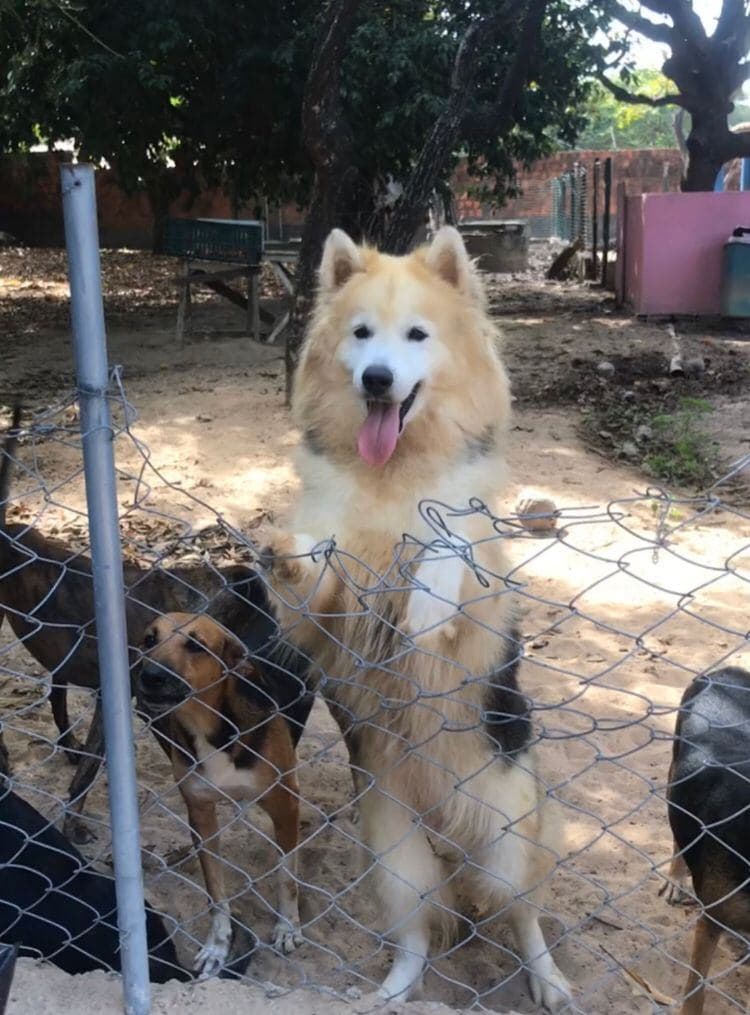 Foto de Elba