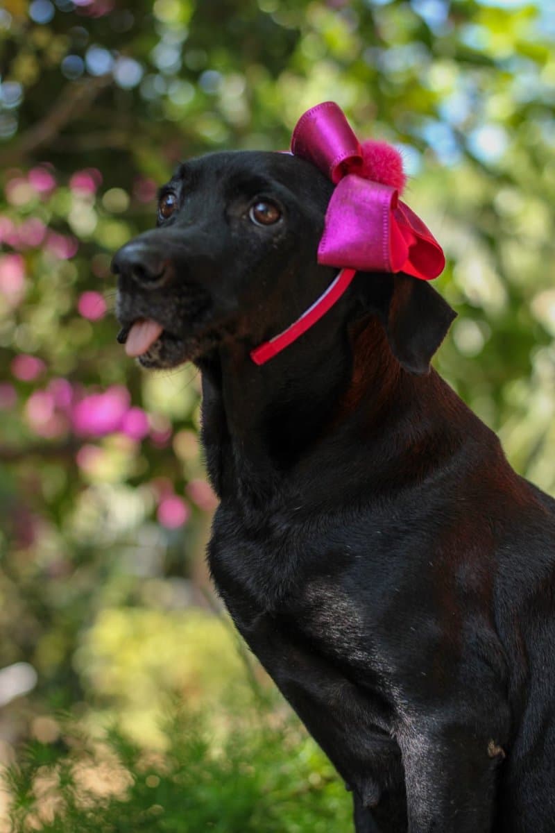 Foto de Maria Flor