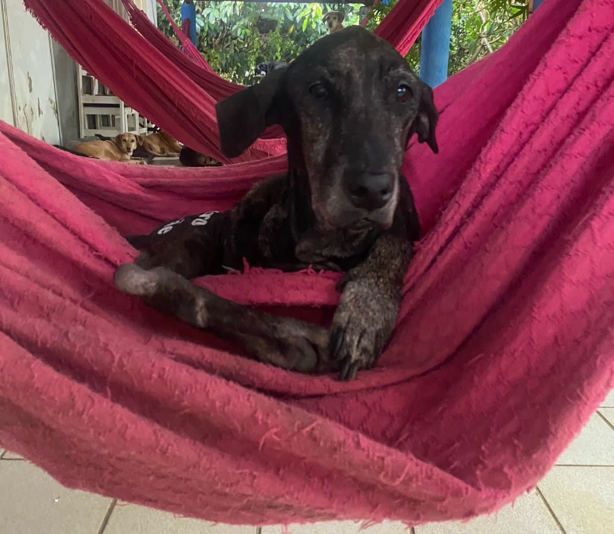 Foto de Lucinda